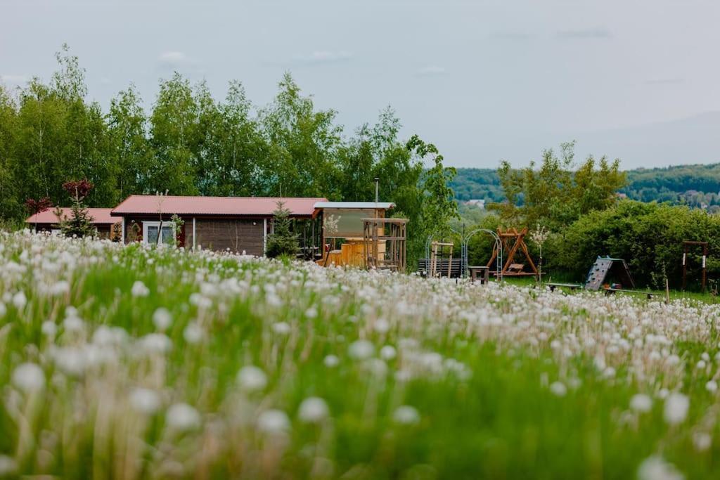 Domki Na Gorniej Lace - Domek Slowik Lazany Extérieur photo