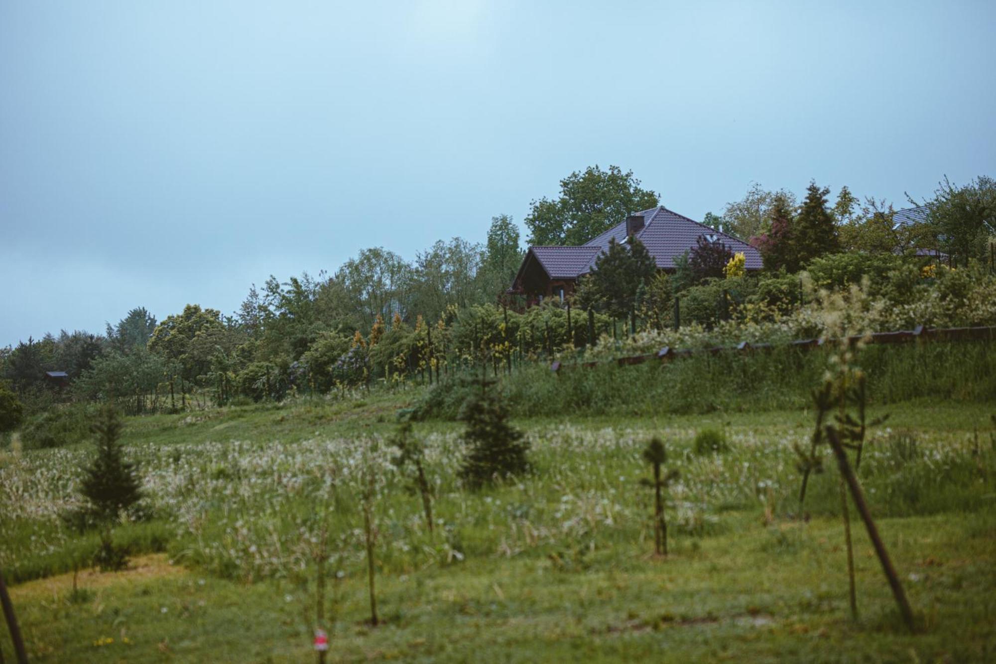 Domki Na Gorniej Lace - Domek Slowik Lazany Extérieur photo